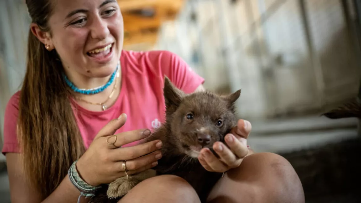 Visit the kennel_Plagne-Montalbert