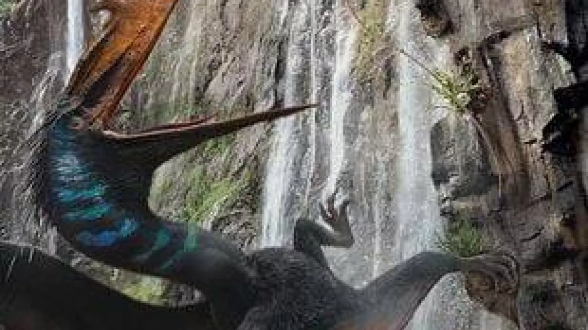 Cinema | Jurassic World: Renaissance_La Plagne