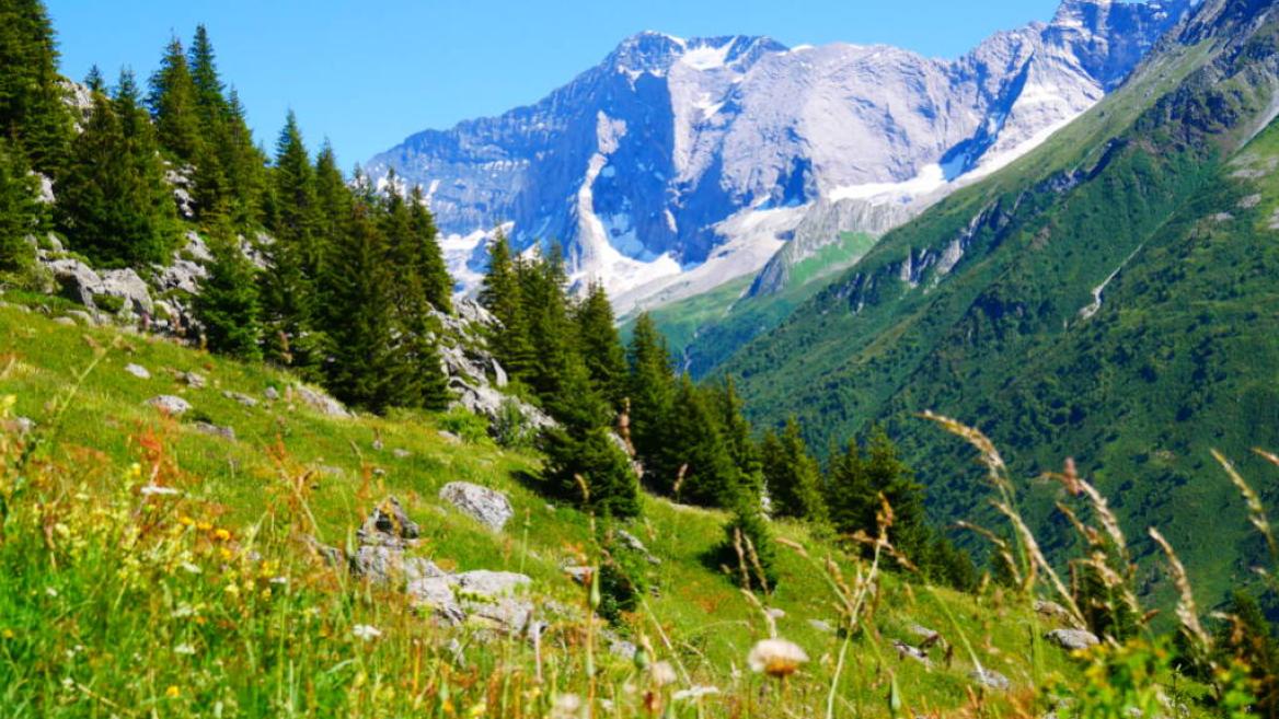 Walking itinerary : Alpage de Froide Fontaine