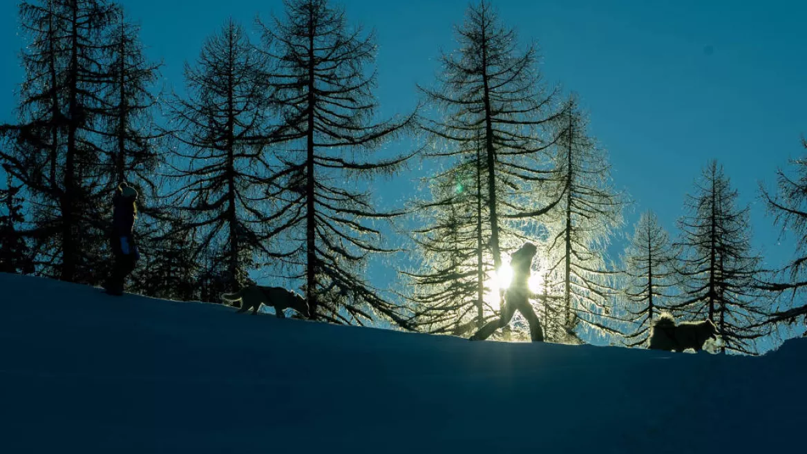 Nordic experience!_Montchavin-les-Coches