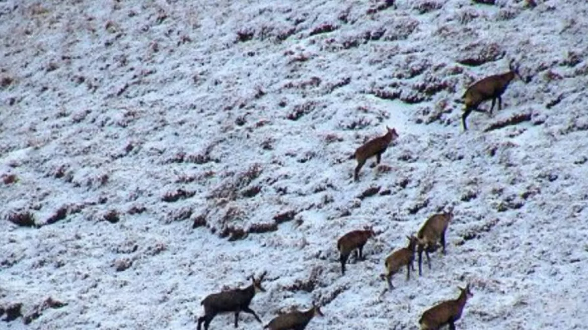 Snowshoeing: stories from a glacial valley_Champagny-en-Vanoise