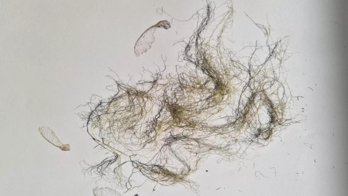 Explorations - Guided tour of the "Les Carnets d'Eve" exhibition_Champagny-en-Vanoise