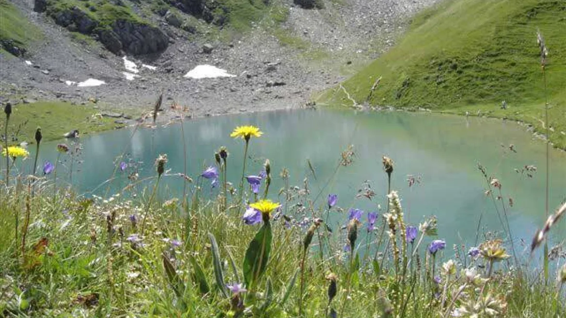 Nature and Discovery I The Lake of Love