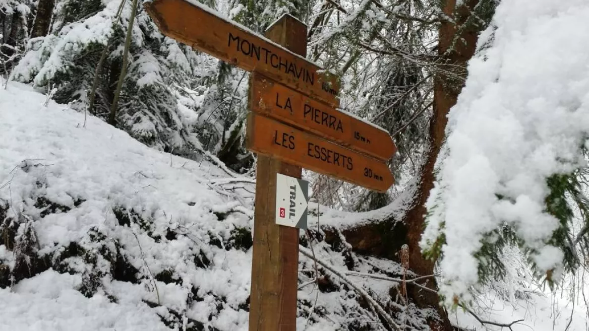 Montchavin-Les Coches via Praz Salvard" snowshoeing itinerary
