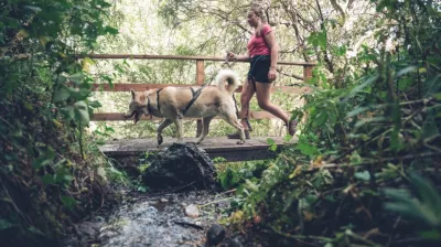 Cani Rando Montalbert