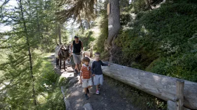 Bief Bovet in summer