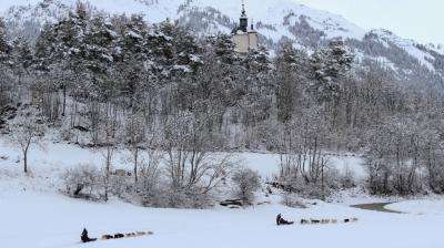 Plateau de Longefoy Baptême en traîneau à chiens