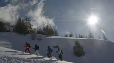 Accompanied snow shoe outings by night