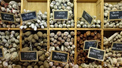 Terroir and Tradition