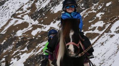 Horse hand walking - Le P'tit Ranch Horse hand walking - Le P'tit Ranch
