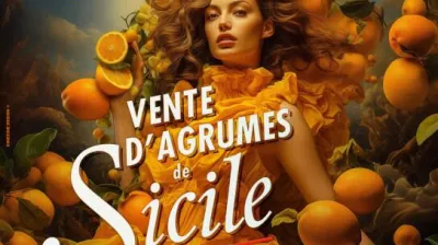 Agrumes bio de Sicile