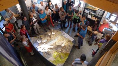Echo of glaciers - Glacialis museum guided tour