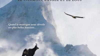 Lapied outdoor films : "SAUVAGE, le Chamois, l'Aigle et le Loup" (The Chamois, the Eagle and the Wolf)