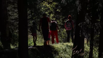 Bois des Fornettes trail