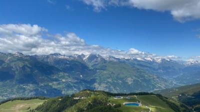 view