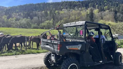 Buggy Passenger Ride - ELPRO