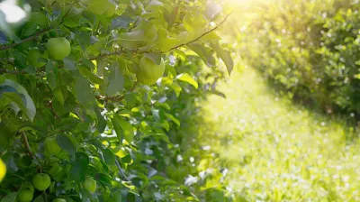 Guided walk through the orchards in Macot_La Plagne Tarentaise