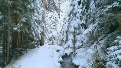 Snowshoe / hiking trail - Le Grand Bief_Aime-la-Plagne