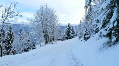 Snowshoe / hiking trail - Climb through the mountain pastures_Aime-la-Plagne
