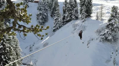 Trio of Giant Ziplines