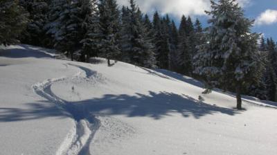 Trace de skis en poudreuse Trace de skis en poudreuse