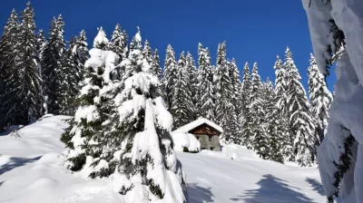 Snowshoe trail - Boucle du bief_La Plagne Tarentaise