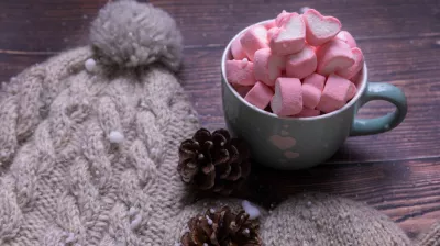 Carnival - Longefoy APE cotton candy and cake sale_Plagne-Montalbert