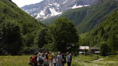 Festiv'été : sortie botanique à la découverte des plantes comestibles et médicinales de nos montagnes_Champagny-en-Vanoise