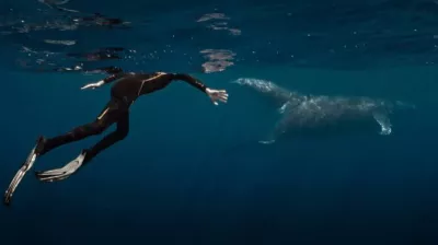 Movies | “The Whale and the Musician”_Champagny-en-Vanoise