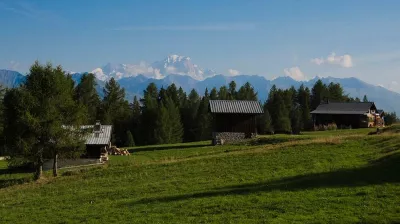 Nature and discovery I The use of mountain plants_Montchavin-les-Coches