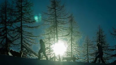 The musher's evening!_Montchavin-les-Coches