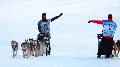 Lekkarod - International sled dog race_Champagny-en-Vanoise