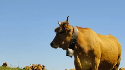 Films d'en Haut - Film screening: Terres du ciel, Cueilleurs d'alpages and Kyrgyz Raclette_Champagny-en-Vanoise