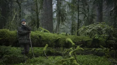 Cinema I Song of the forest_Montchavin-les-Coches