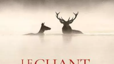 Cinema | Le chant des forêts_La Plagne