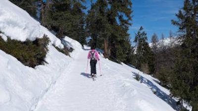 Ski touring route: Plagne Bellecôte - Col de Forcle Plagne Bellecôte - Forcle
