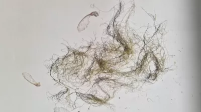 Explorations - Guided tour of the "Les Carnets d'Eve" exhibition_Champagny-en-Vanoise