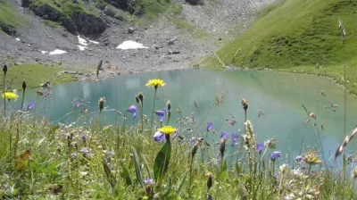 Nature and Discovery I The Lake of Love