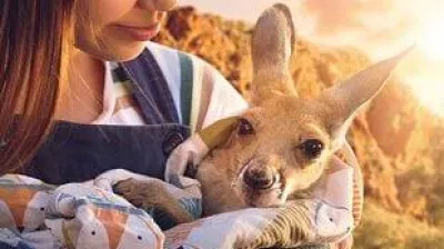 Movies | Charlie and the Kangaroos_La Plagne