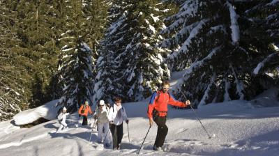 Snowshoeing outing - La Forêt Noire