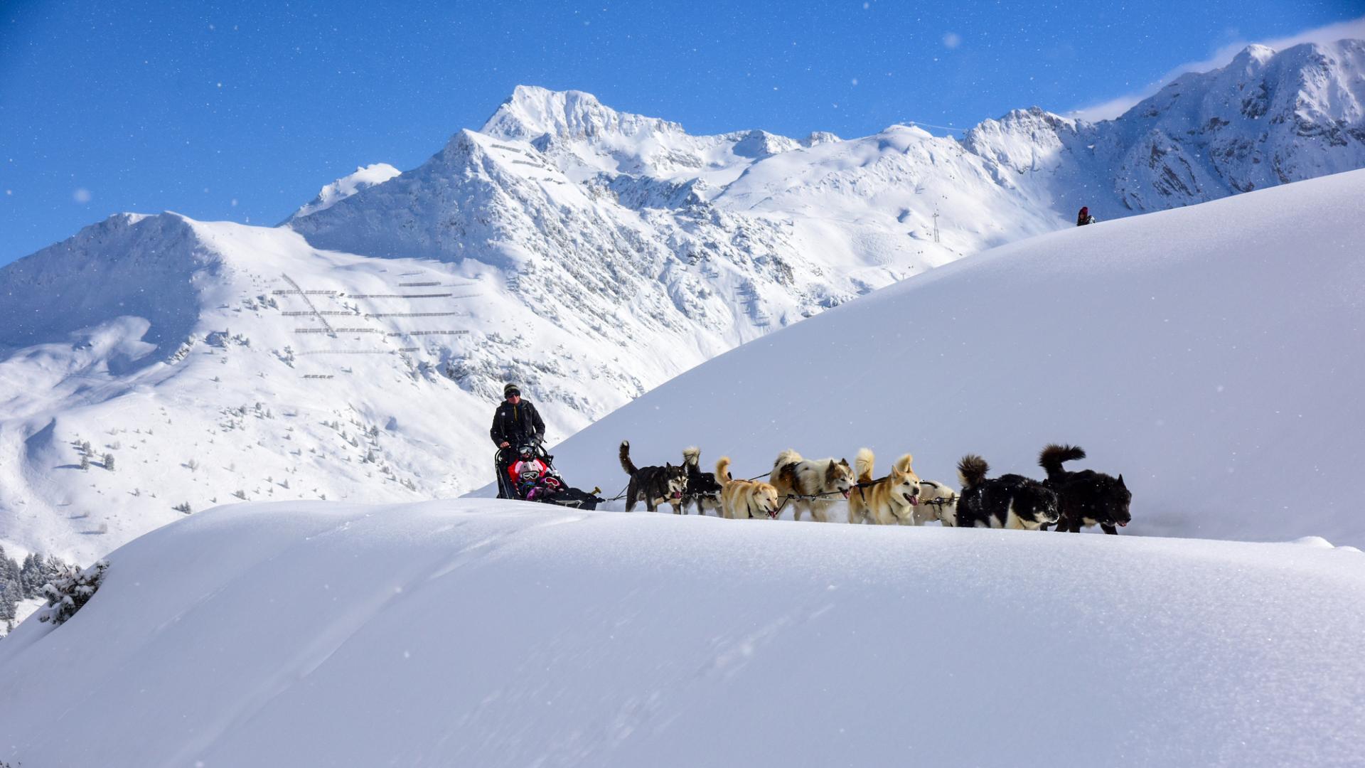 Dog sledding La Plagne, Savoie : Dog sled ride French Alps, Savoie 