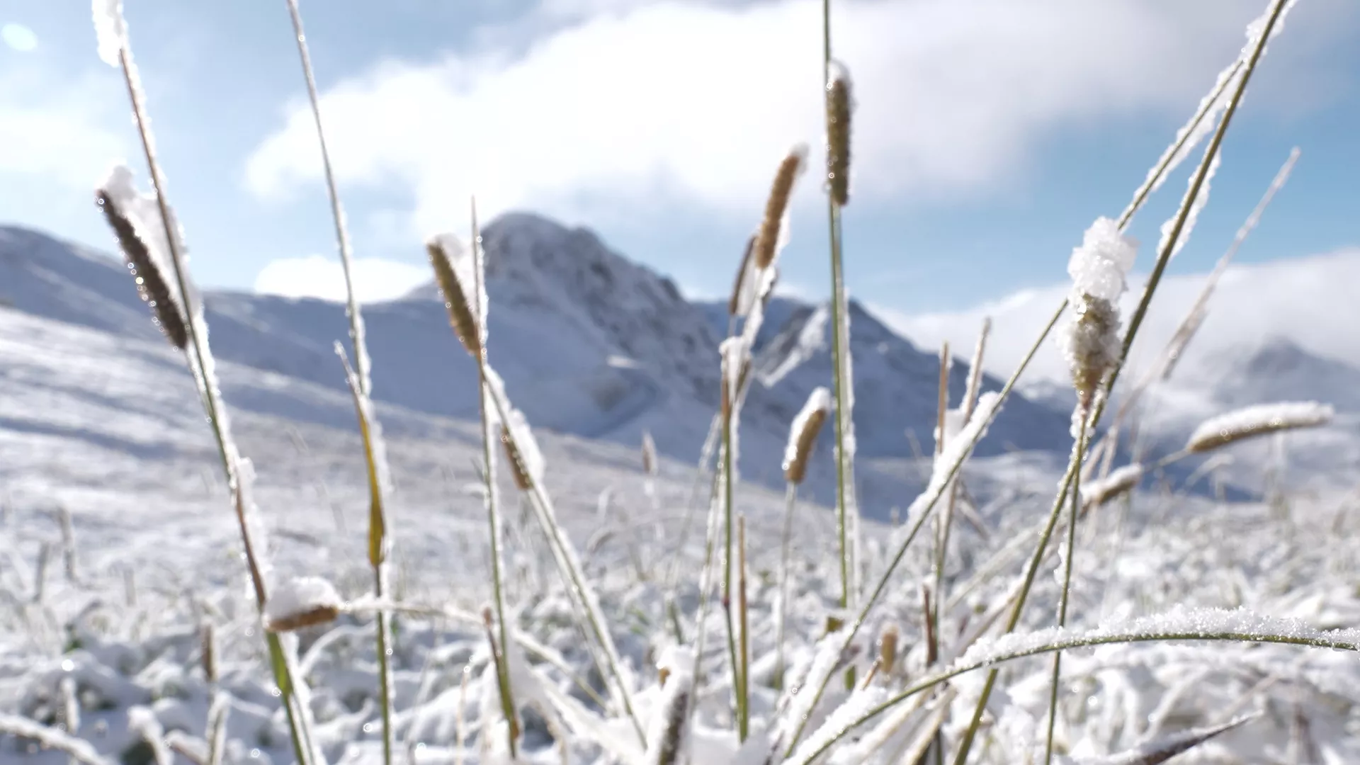 Première neiges à La Plagne