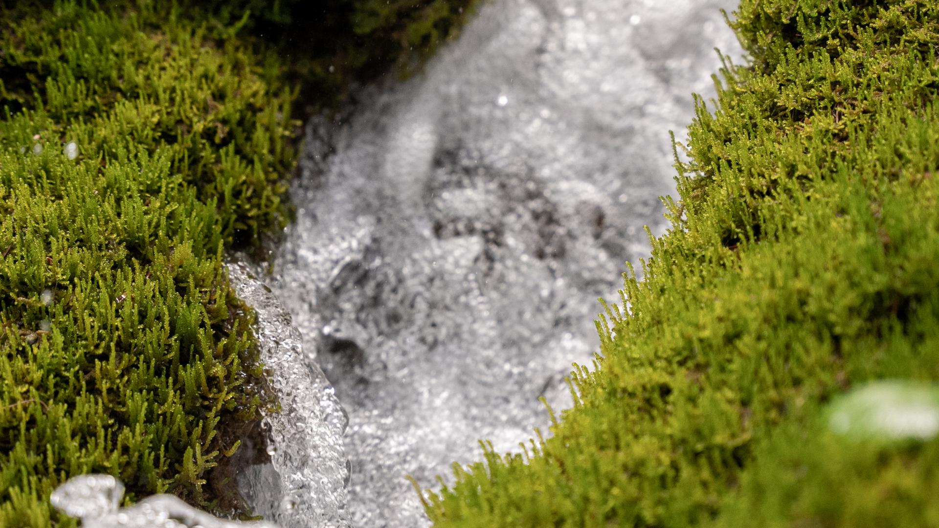 Source d'eau La Plagne