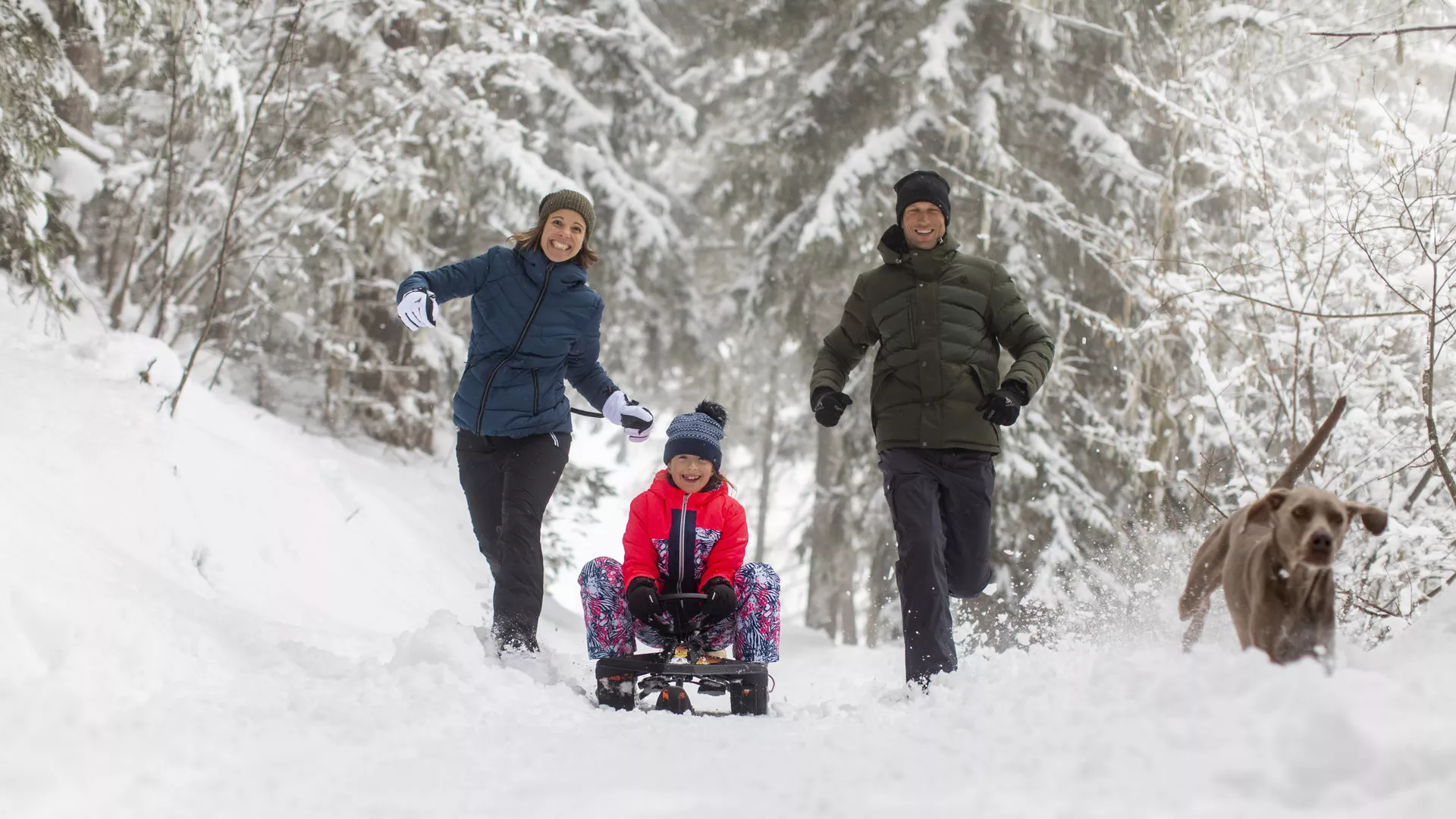 Luge en famille à La Plagne