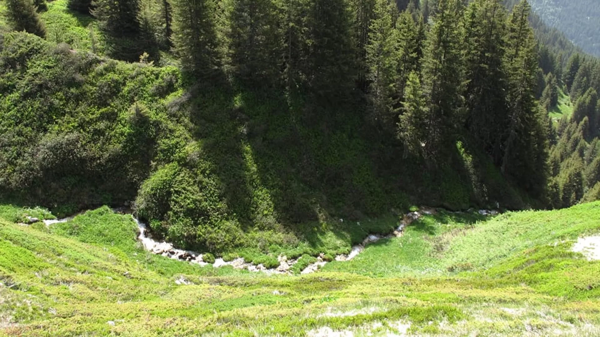 Le torrent du Remous