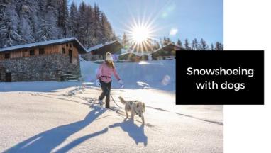 Snowshoeing with dogs