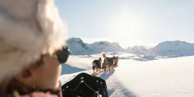 Balade_en_chiens_de_traineaux-Charlotte_Bertonneau Balade_en_chiens_de_traineaux-Charlotte_Bertonneau