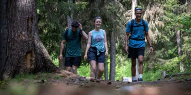 Balade_en_foret-JNJ_Photo