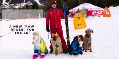 Ecole de ski canine La Plagne Ecole de ski canine La Plagne