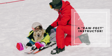 Ecole de ski canine La Plagne